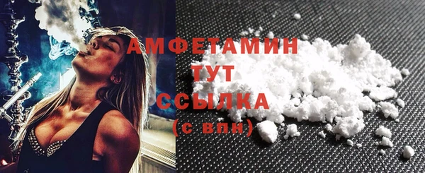 прущие грибы Алапаевск