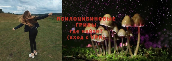 шишки Алагир