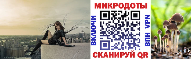 Псилоцибиновые грибы мухоморы  как найти наркотики  Чегем 